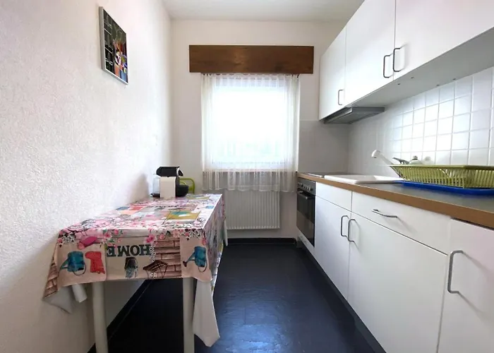 公寓 Adler 66 洛伊克巴德